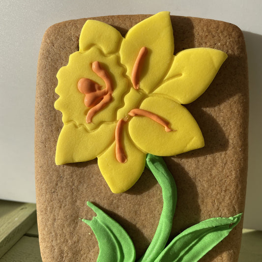 Daffodil Gingerbread Biscuit