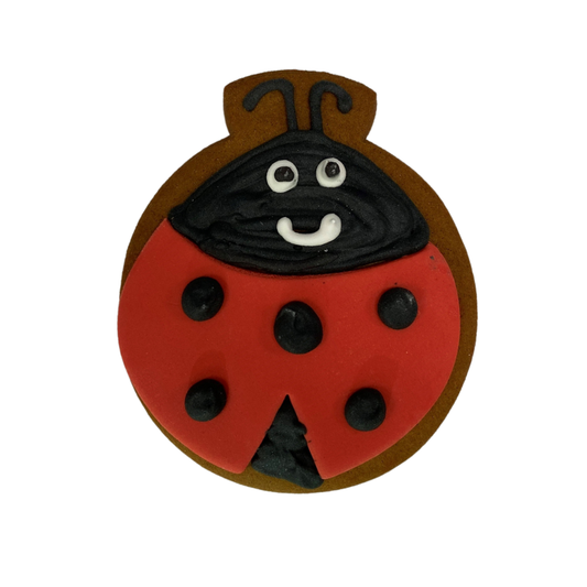 Ladybird Gingerbread Biscuit